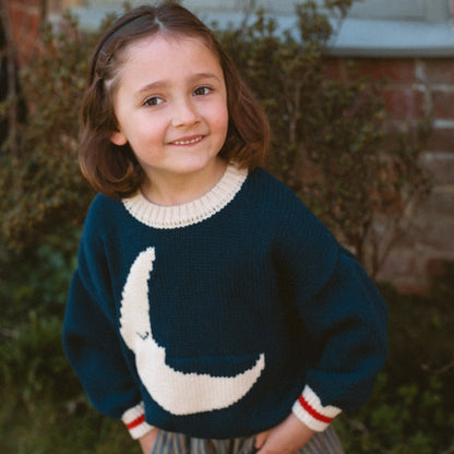 Wren Jumper