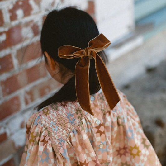 Big Bow Clip