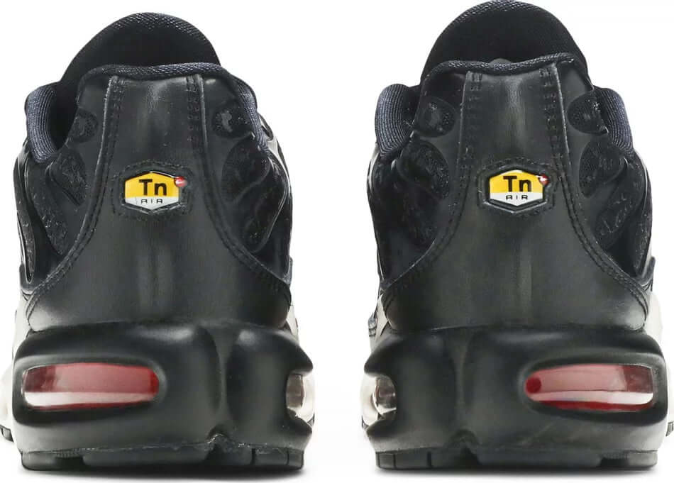 Wmns Air Max Plus TN ‘Black Red’
