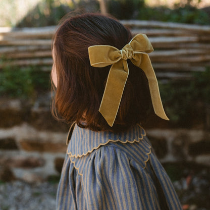 Big Bow Clip