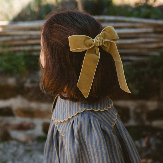 Big Bow Clip