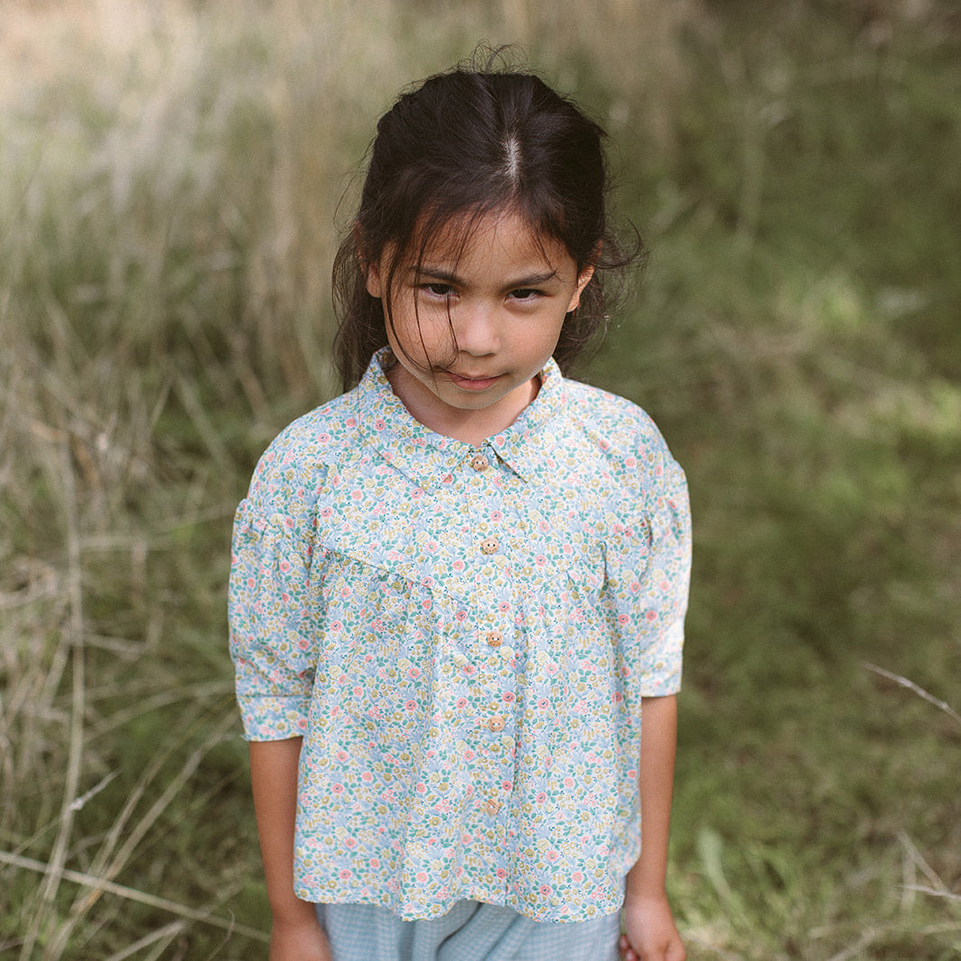 Duck, Duck, Goose Blouse