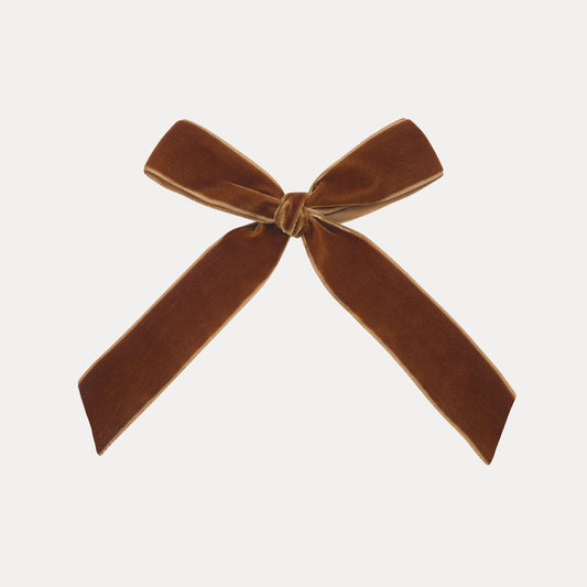 Big Bow Clip