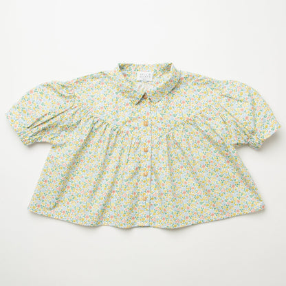 Duck, Duck, Goose Blouse