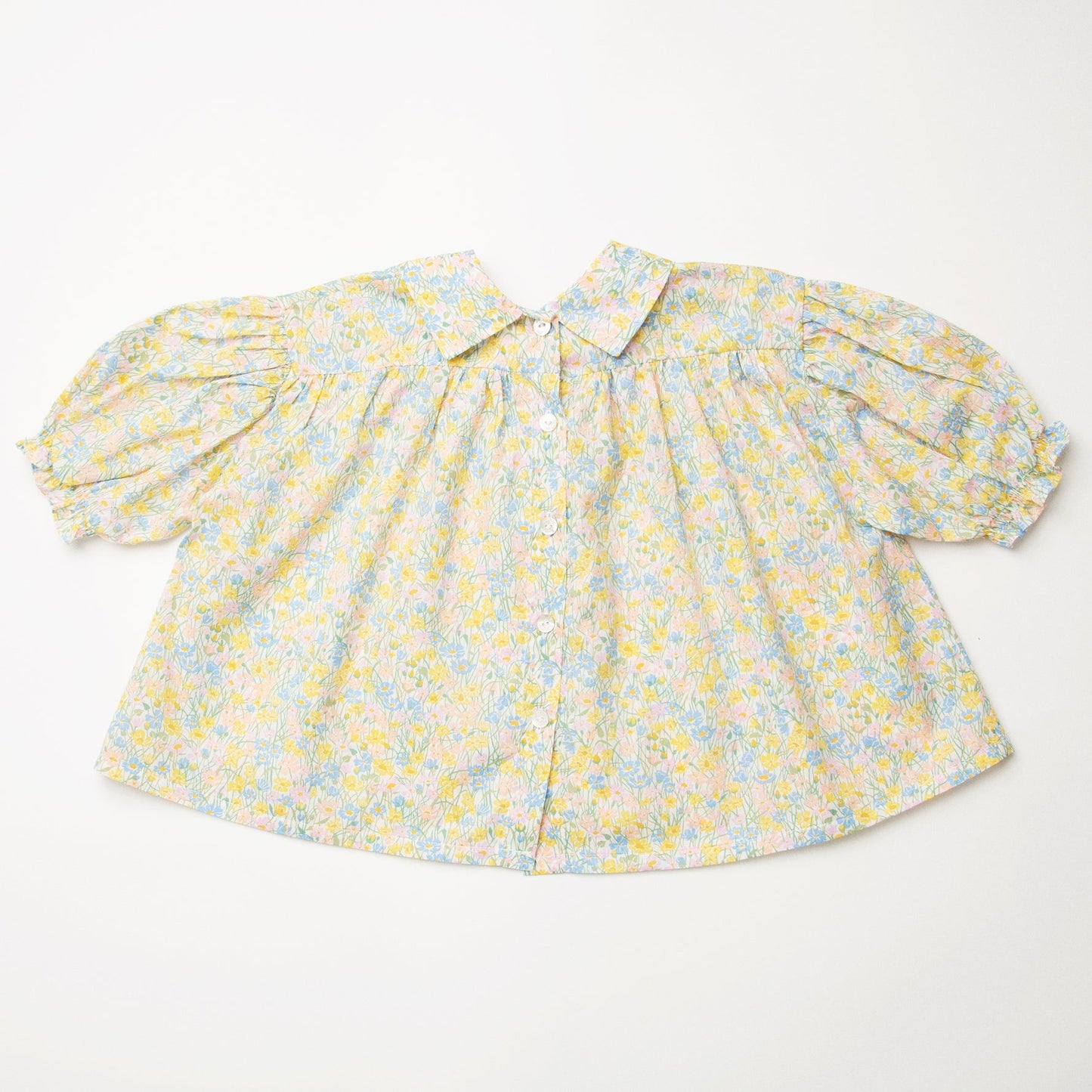 Duck, Duck, Goose Blouse